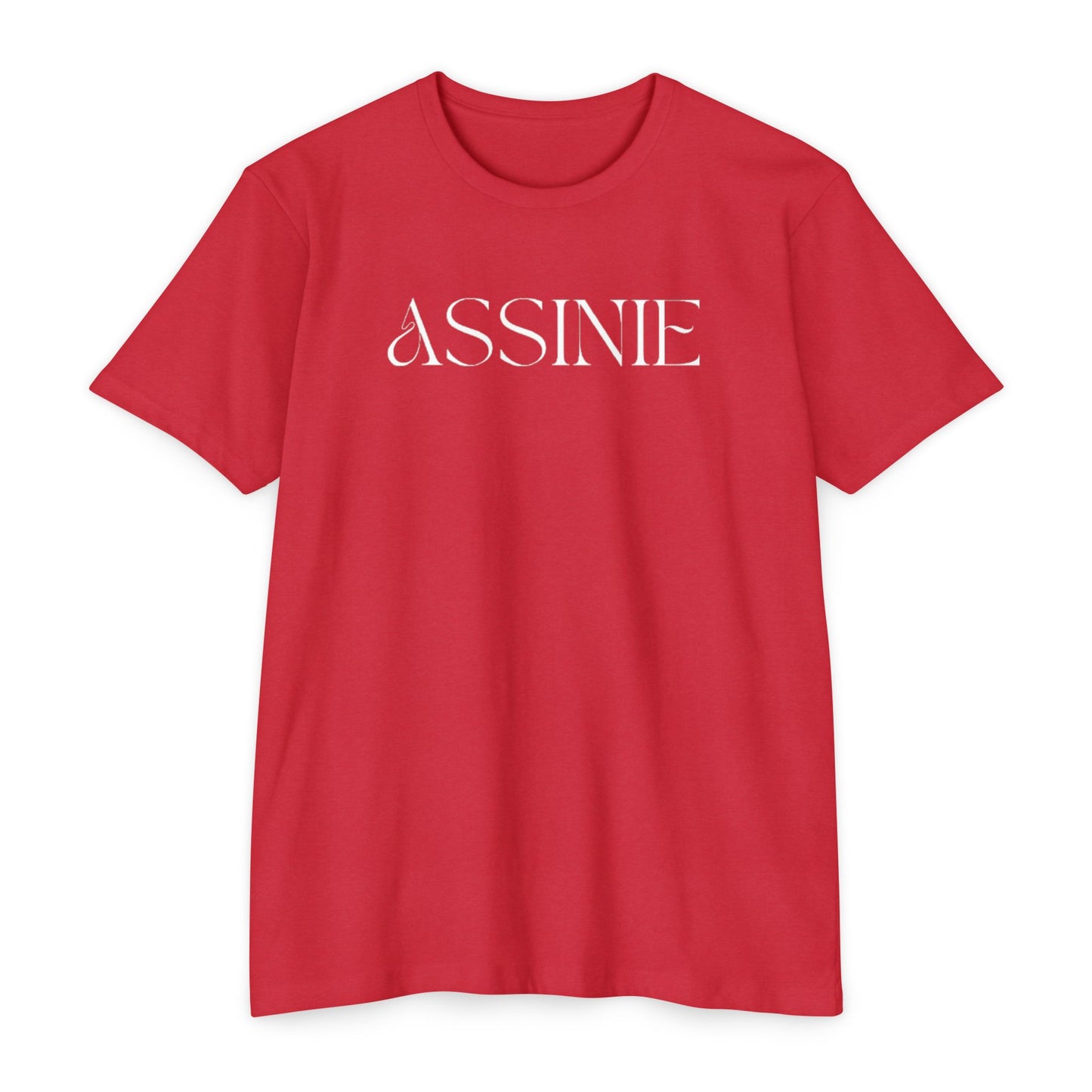Assume T-Shirt — Minimalist White Logo Tee for Casual Everyday Wear