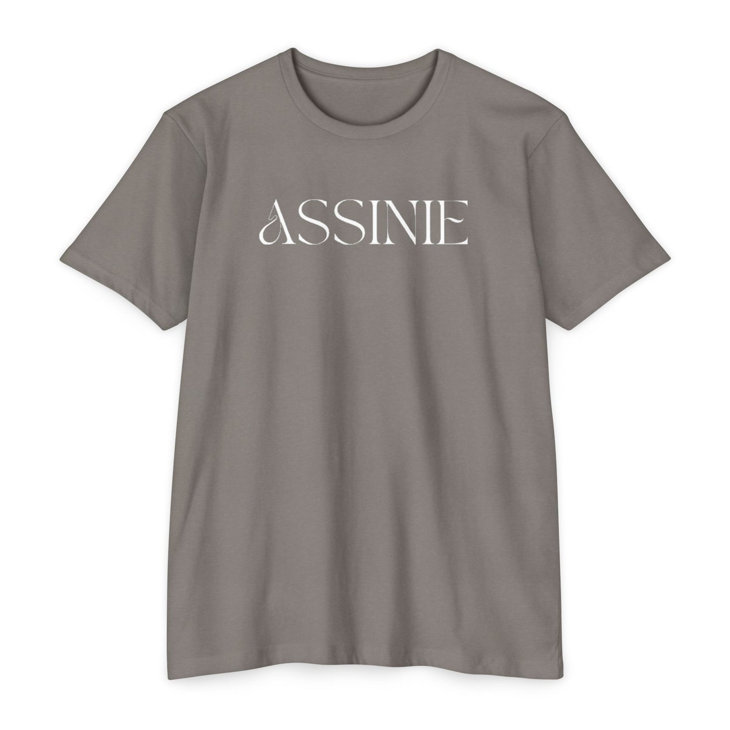 Assume T-Shirt — Minimalist White Logo Tee for Casual Everyday Wear
